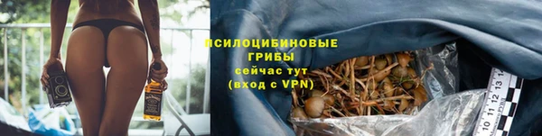 амф Вязьма