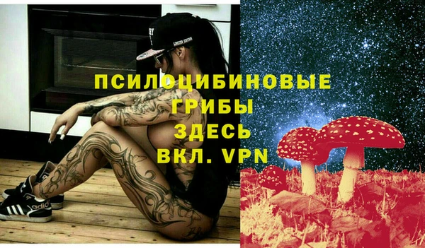 амф Вязьма