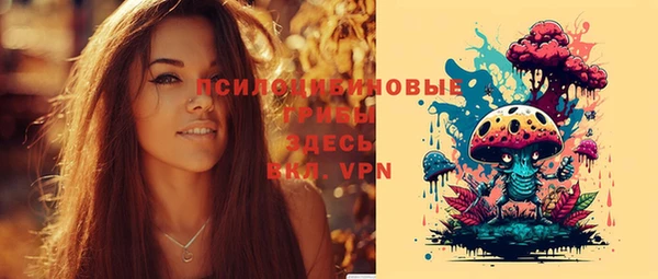 mix Вяземский