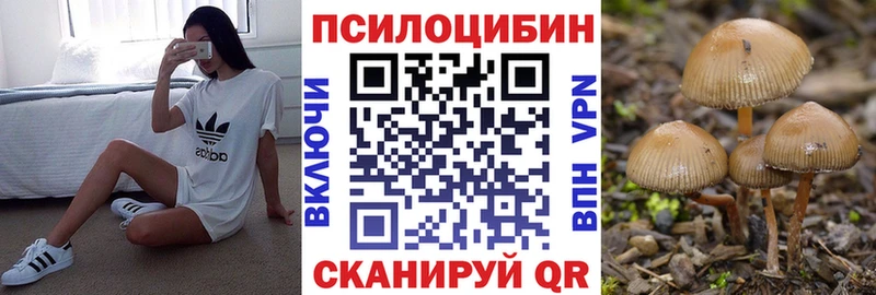 Купить где  Сорск  Псилоцибиновые грибы прущие грибы 